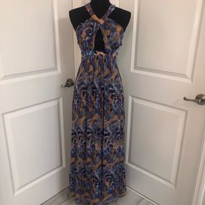 Beautiful 100% Silk Criss Cross Arden B. Maxi Gown